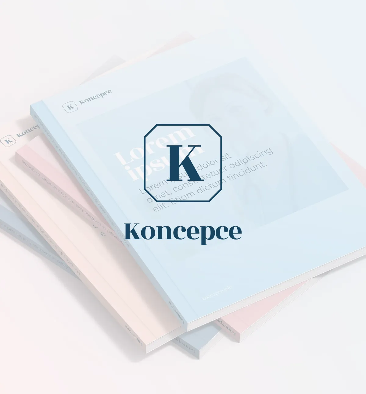 Koncepce